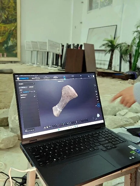 化石三维模型与数字展示